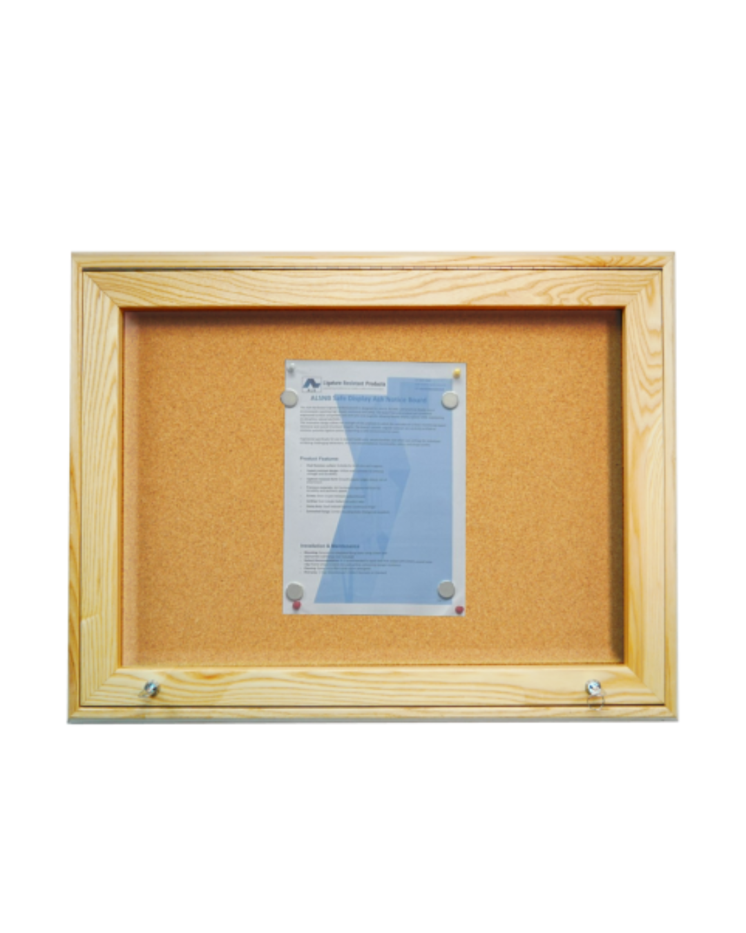 Ligature-Resistant Ash Hardwood Noticeboard – Pin & Magnet Display