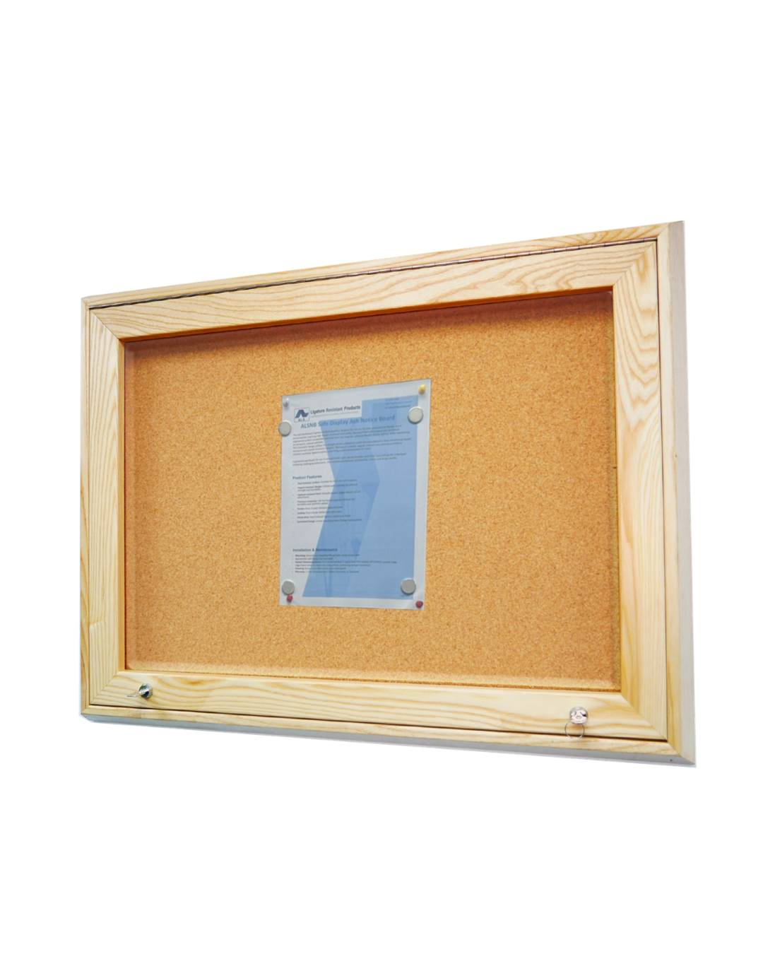 Ligature-Resistant Ash Hardwood Noticeboard – Pin & Magnet Display